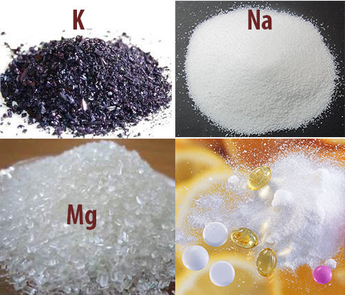 Mỗi loại chất khoáng khác nhau sẽ có vai trò khác nhau trong sự phát triển của tôm